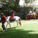 horse-riding-2